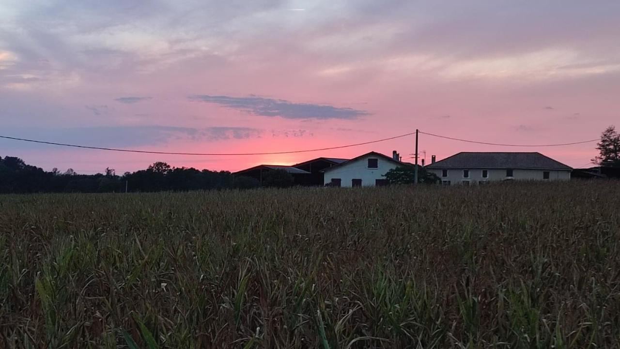 Hotel Le Domaine De Laurolie Gaujacq Zewnętrze zdjęcie